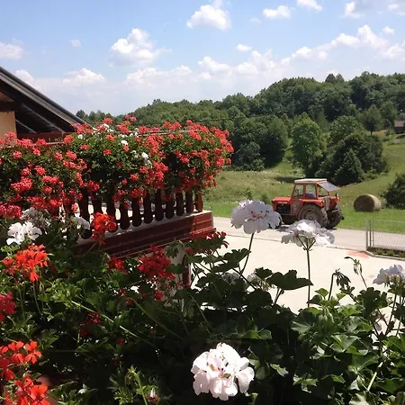 Guesthouse Ante Hodak Seliste Dreznicko Room photo