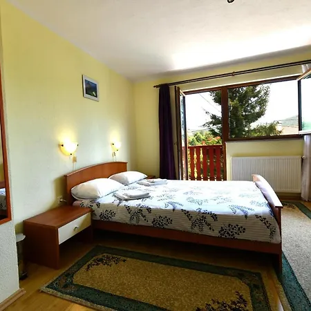 Guesthouse Ante Hodak Seliste Dreznicko Exterior photo