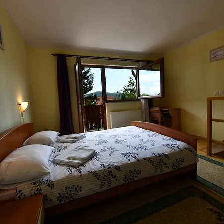 Guesthouse Ante Hodak Seliste Dreznicko Exterior photo