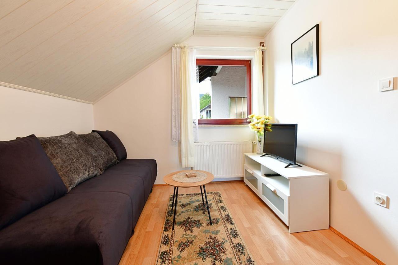 Apartment Ante Hodak *
